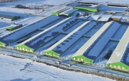 Самую большую доильную &laquo;карусель&raquo; России запустят в&nbsp;Красноярском крае / Агро-Матик
