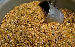 Три человека арестованы в&nbsp;связи с&nbsp;продажей несертифицированных пищевых отходов в&nbsp;качестве кормов в&nbsp;Нидерландах / Агро-Матик