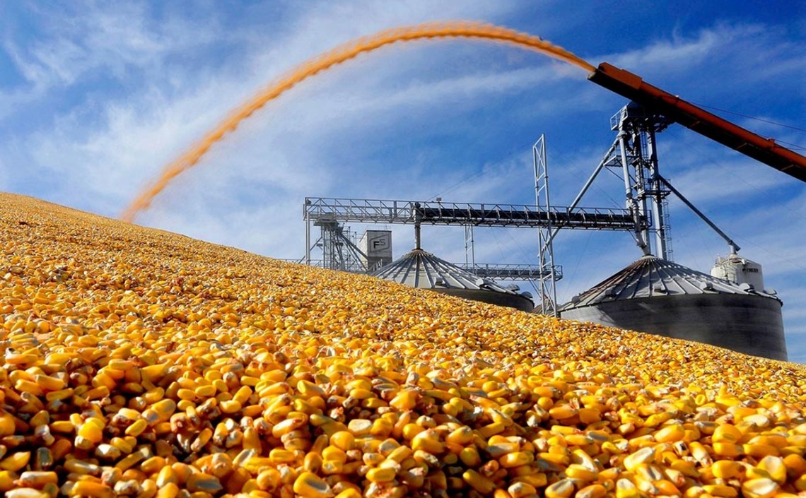 Южная Корея возобновила закупки причерноморской кукурузы / Агро-Матик