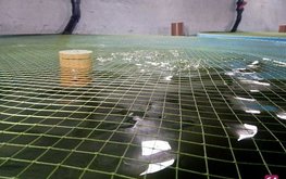 В&nbsp;Саратовской области выращивают форель под классическую музыку / Агро-Матик