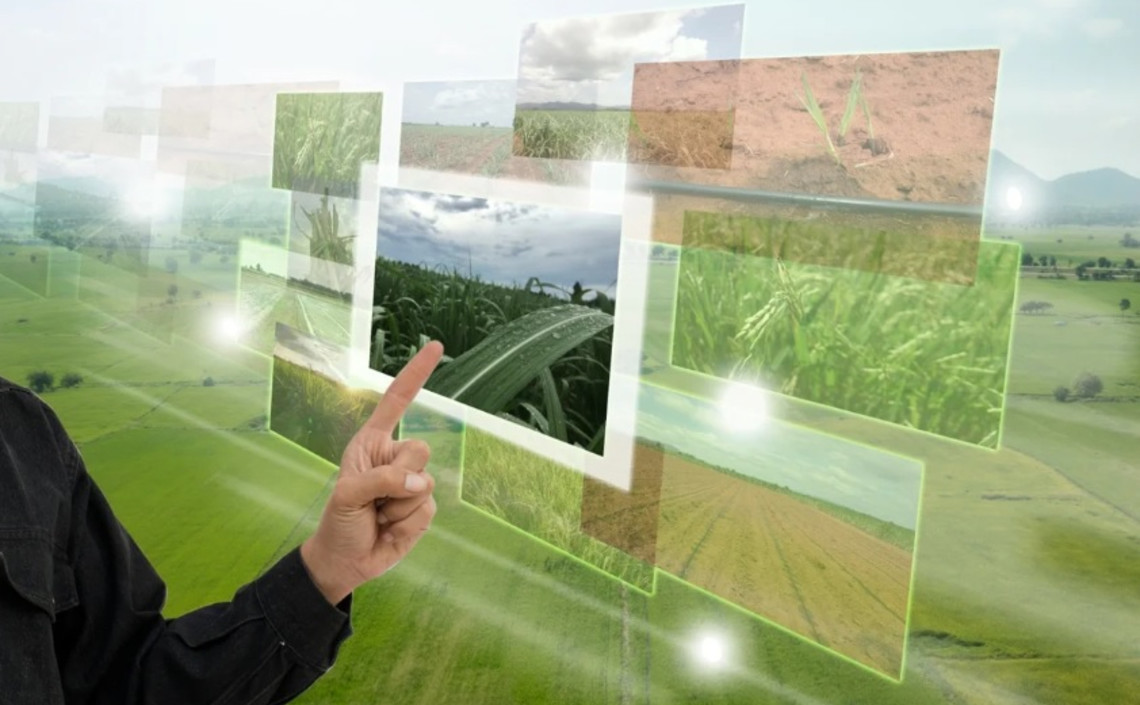 В Нижегородской области запущена информационная система для сельхозпроизводителей / Агро-Матик