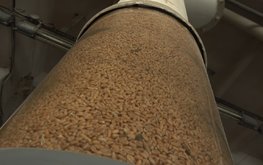 Завод по&nbsp;глубокой переработке зерна за&nbsp;30&nbsp;млрд рублей построят под Красноярском / Агро-Матик