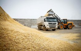 Фермеры по&nbsp;всему миру запасаются комбикормами из-за коронавируса / Агро-Матик
