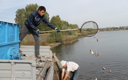 Сезон зарыбления водоёмов открыт в&nbsp;рыбоводческих хозяйствах Нижегородской области / Агро-Матик