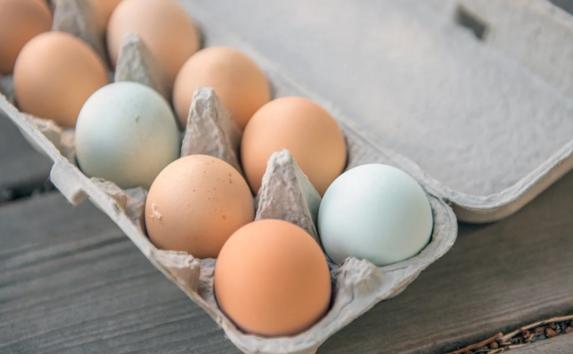 На Ставрополье производство куриного яйца увеличилось на 3,5% / Агро-Матик