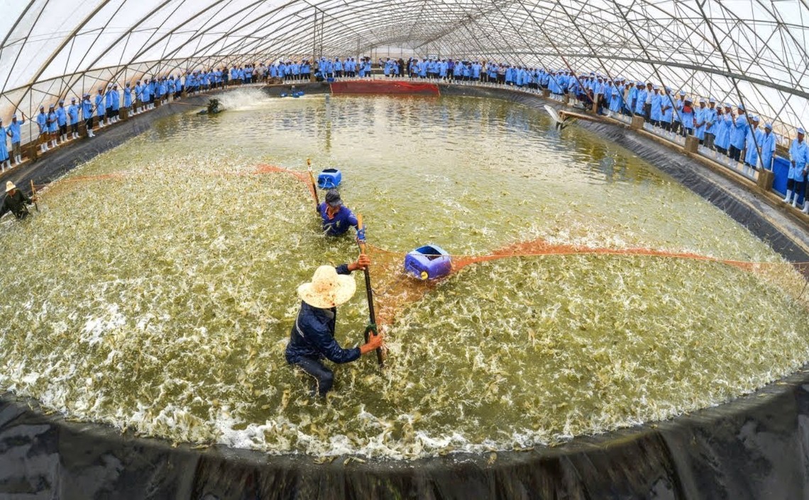 BioMar Group и Вьетнам будут сотрудничать в секторе производства аквакормов / Агро-Матик