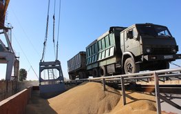 Россия приостанавливает экспорт зерновых до&nbsp;1&nbsp;июля / Агро-Матик