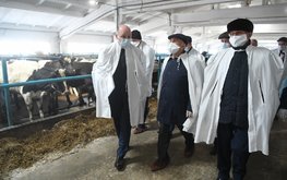 В&nbsp;Татарстане планируется строительство кормового центра с&nbsp;проектной мощностью на&nbsp;1500 голов / Агро-Матик