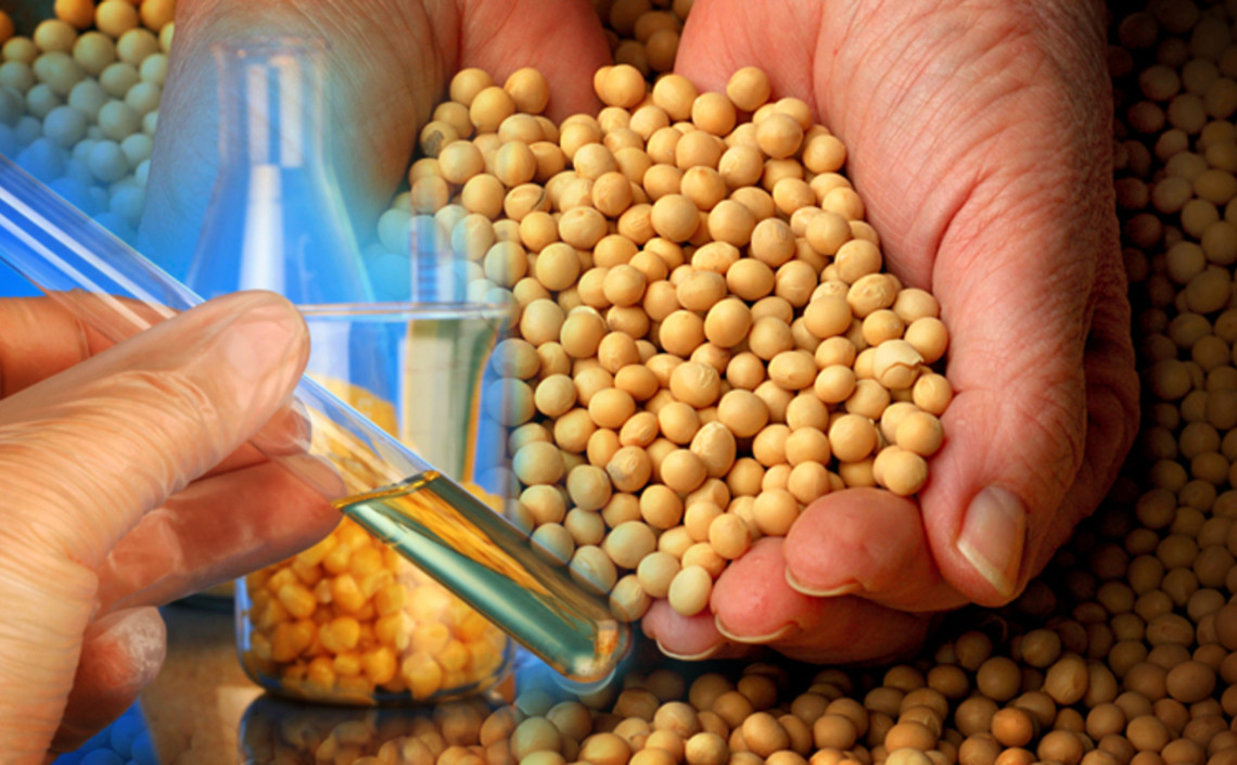 Минсельхоз выступил против запрета на ввоз сои с ГМО / Агро-Матик