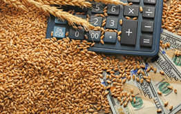 Для производителей экспортно ориентированной продукции АПК расширен перечень направлений использования льготных кредитов / Агро-Матик