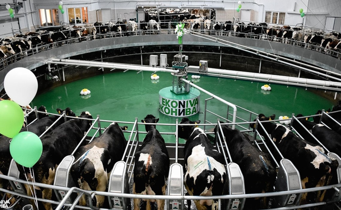 «ЭкоНива» планирует произвести 1 млн тонн молока — Штефан Дюрр / Агро-Матик