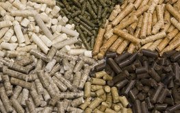 В&nbsp;России выросло производство комбикормов для животных / Агро-Матик