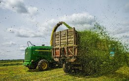 Аэробная порча силоса: как снизить потери? / Агро-Матик