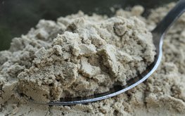 Компания &laquo;Колос&raquo; запустит в&nbsp;Крыму производство рыбной муки / Агро-Матик