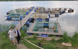 В&nbsp;Ярославской области прошел Рыбохозяйственный совет / Агро-Матик