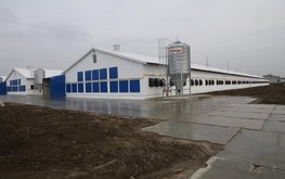 ГК&nbsp;&laquo;Продукты Питания&raquo; ввела птицекомплекс в&nbsp;Калининградской области за&nbsp;1,5 млрд рублей / Агро-Матик