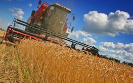Ростовская область стала лидером по валовому сбору зерна / Агро-Матик