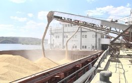 Волгоградская область увеличила экспорт зерна в Иран / Агро-Матик