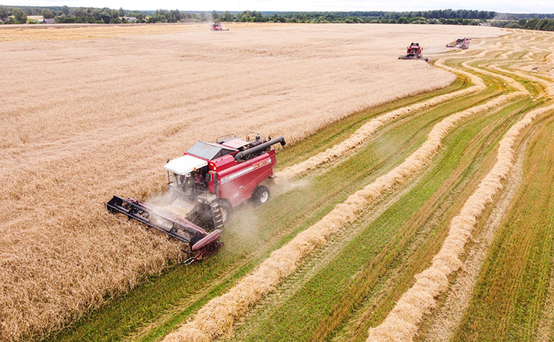 Нижегородские аграрии собрали 1,1 млн тонн зерна / Агро-Матик