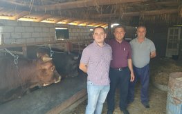 &laquo;Агро-Матик&raquo; разрабатывает новые технологии кормления / Агро-Матик