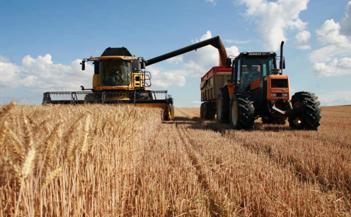 Нижегородские аграрии собрали 1,5 миллиона тонн зерна / Агро-Матик