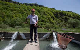 Объем производства товарной рыбы в&nbsp;Северной Осетии увеличился на&nbsp;4,5 процента / Агро-Матик