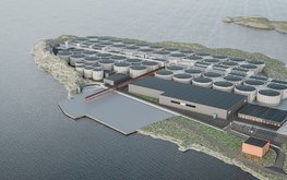 Крупнейший рыбопромышленник Южной Кореи выходит на&nbsp;рынок аквакультуры / Агро-Матик