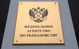 Патрушев обозначил стратегические направления развития рыбохозяйственного комплекса / Агро-Матик