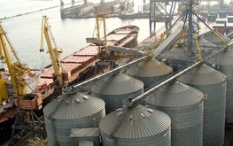 Власти Аргентины открыли рынок для комбикорма из&nbsp;России / Агро-Матик