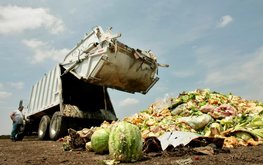 Просроченные продукты в&nbsp;РФ могут начать перерабатывать в&nbsp;корм для животных / Агро-Матик