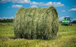 Очередная партия российского сена отправлена на&nbsp;экспорт / Агро-Матик