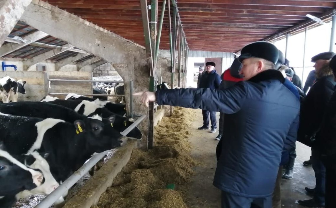 В Татарстане обсудили внедрение идентификации крупного рогатого скота / Агро-Матик