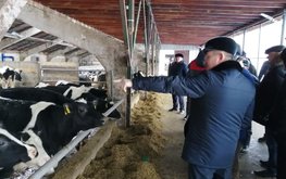 В&nbsp;Татарстане обсудили внедрение идентификации крупного рогатого скота / Агро-Матик
