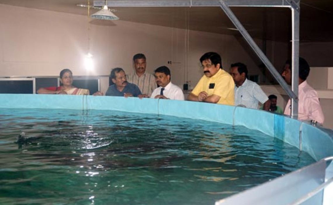 Индия намерена увеличить производство аквакультуры в солоноватой воде / Агро-Матик