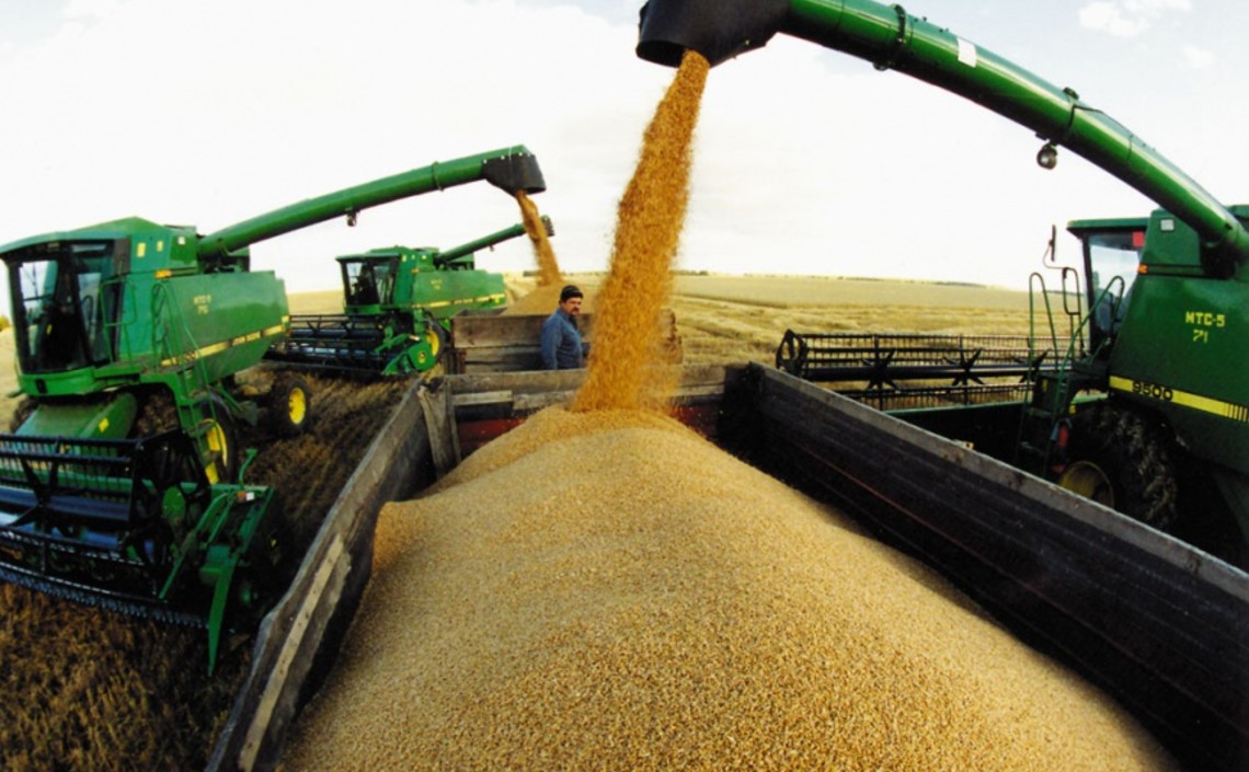 Сбор зерна в Нижегородской области в 2020 году увеличился на 20% / Агро-Матик