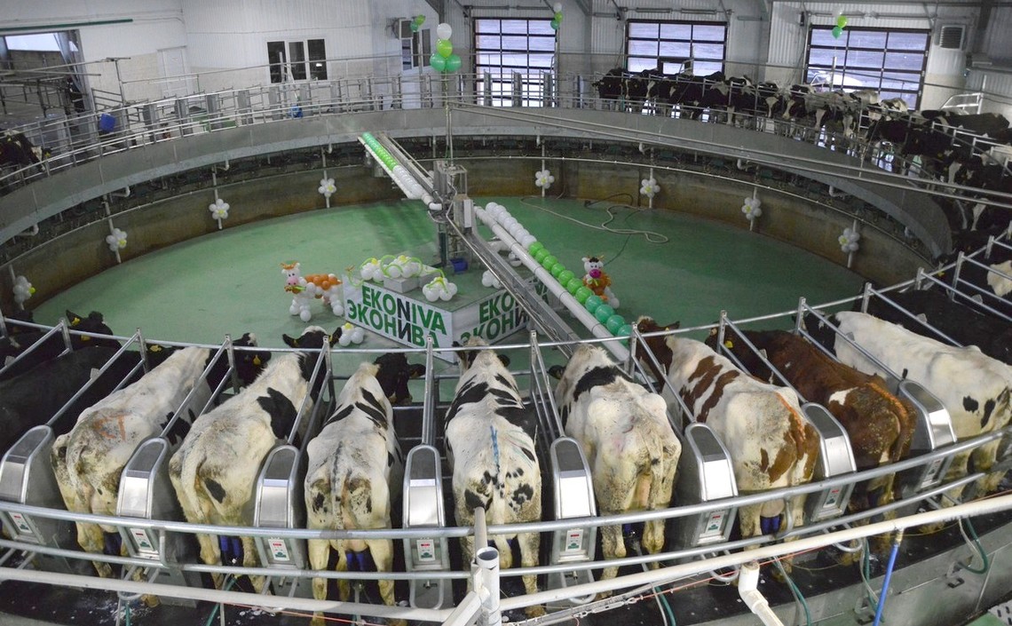 «ЭкоНива»продолжает наращивать поставки молочной продукции в Китай / Агро-Матик