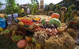 Минсельхоз ожидает рост производства продукции АПК в&nbsp;2020 году более 2% / Агро-Матик
