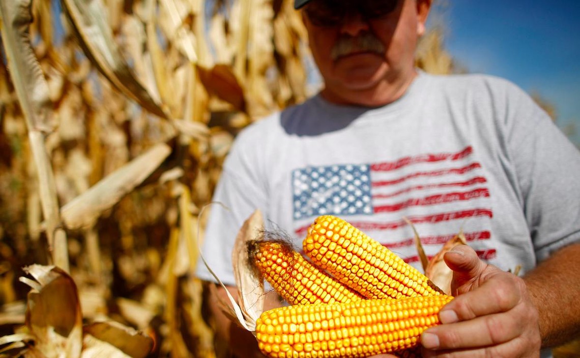 Цены на кукурузу в США растут в ответ на неурожай в Южной Америке / Агро-Матик