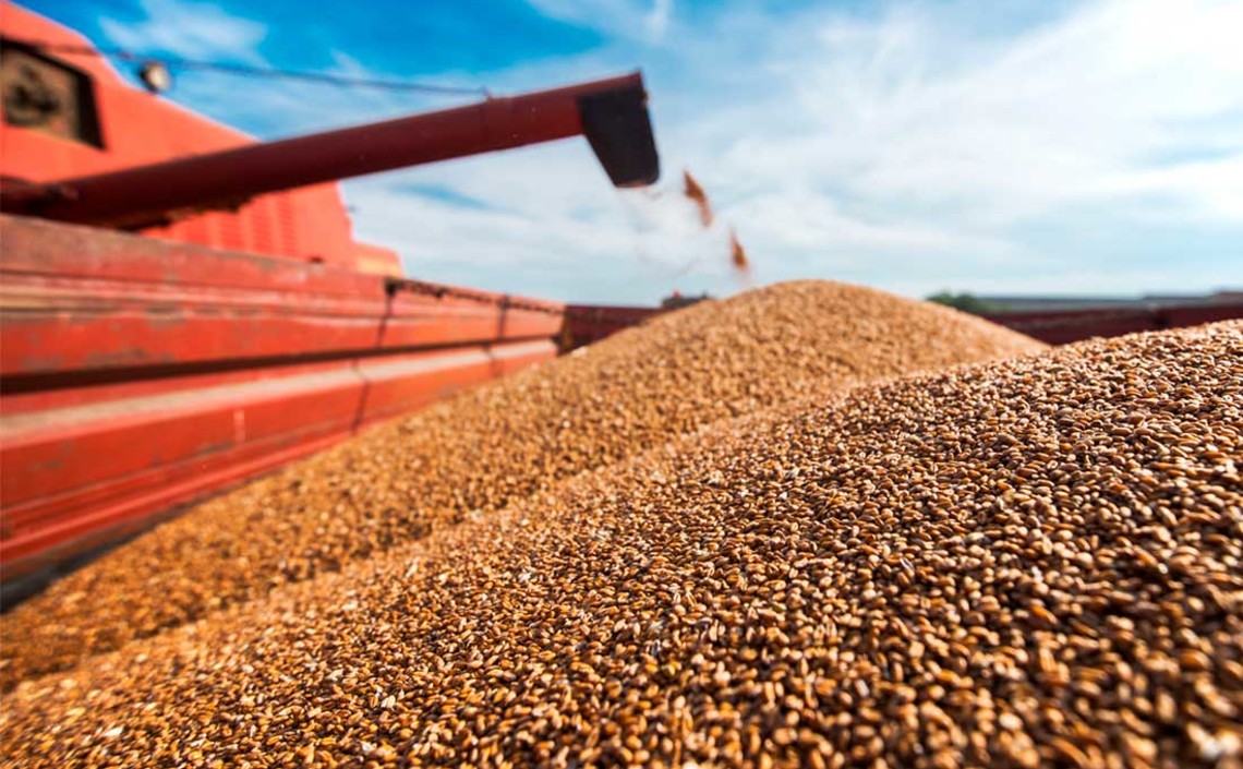 Россия на 20% увеличила поставки зерна за рубеж / Агро-Матик