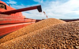 Россия на&nbsp;20% увеличила поставки зерна за&nbsp;рубеж / Агро-Матик