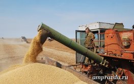 Почем соя для заграницы
