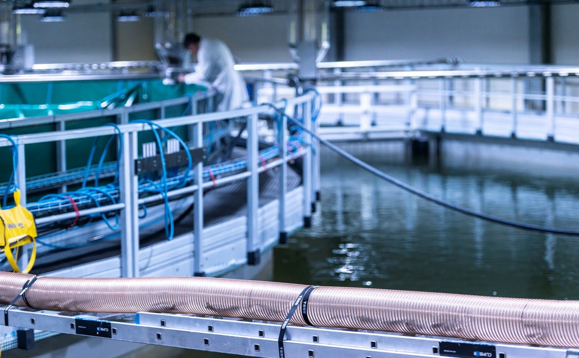 В Китае стартует норвежский проект по аквакультуре лосося
