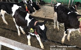 Молодые учёные исследуют продукты &laquo;Агро-Матик&raquo;