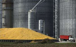 Эксперты отметили сокращение мирового экспорта соевого шрота