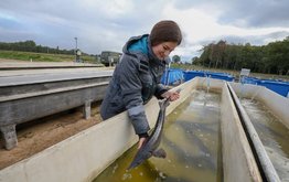 В Минске подвели итоги реализации программы Комбикорм-СГ