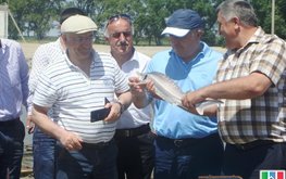 Аквакультура развивается в Дагестане