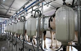 Союзмолоко ждёт роста себестоимости молочной продукции