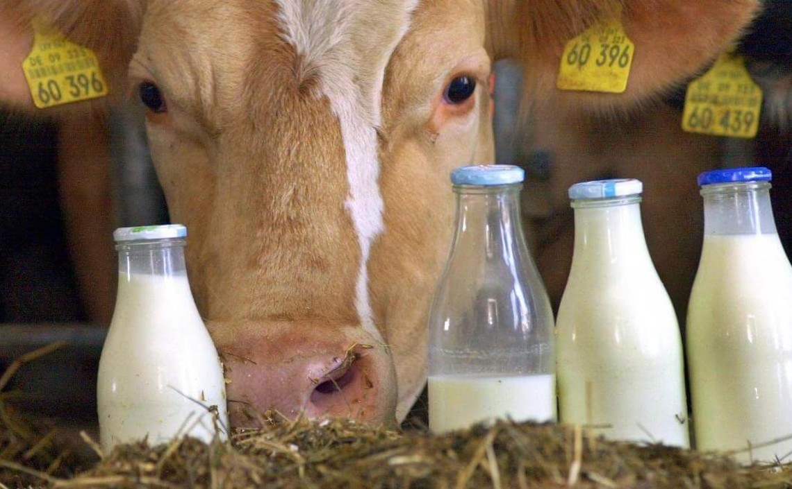 Хозяйства Татарстана нарастили реализацию молока до 5,4 млрд рублей – Марат Зяббаров