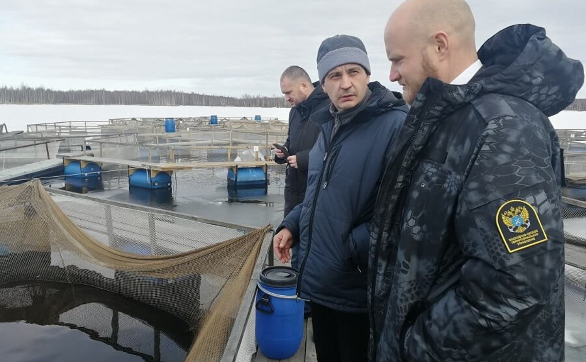 В Ярославской области не снижают объёмы производства форели