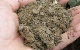 В Башкирии наращивают объемы производства и экспорта кормовых добавок
